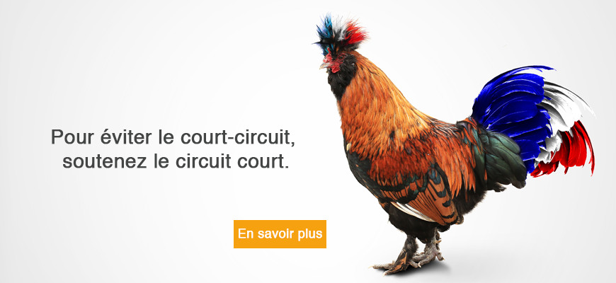 Pour éviter le court-circuit, privilégiez le circuit court